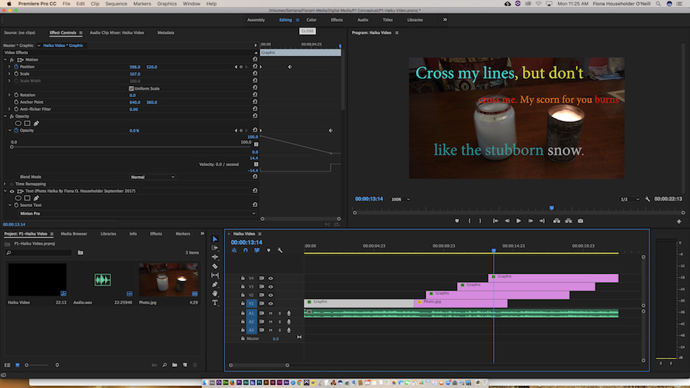 This is a screenshot of my haiku video production in Premiere Pro.