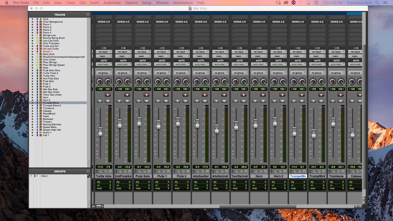 This is a screenshot of the Pro Tools Mixer which I used to control the volume of different tracks