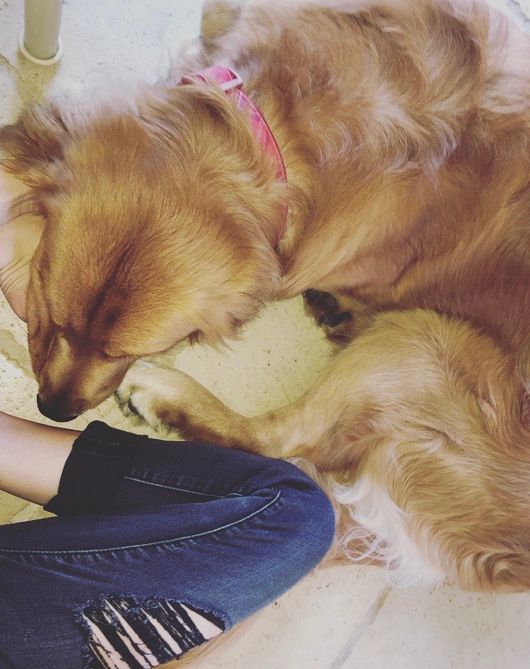 This image was inspired by my mood, of laziness and comfortableness. The picture is of a golden retriever dog laying on a persons foot, with their knee filling the left bottom corner of the frame.