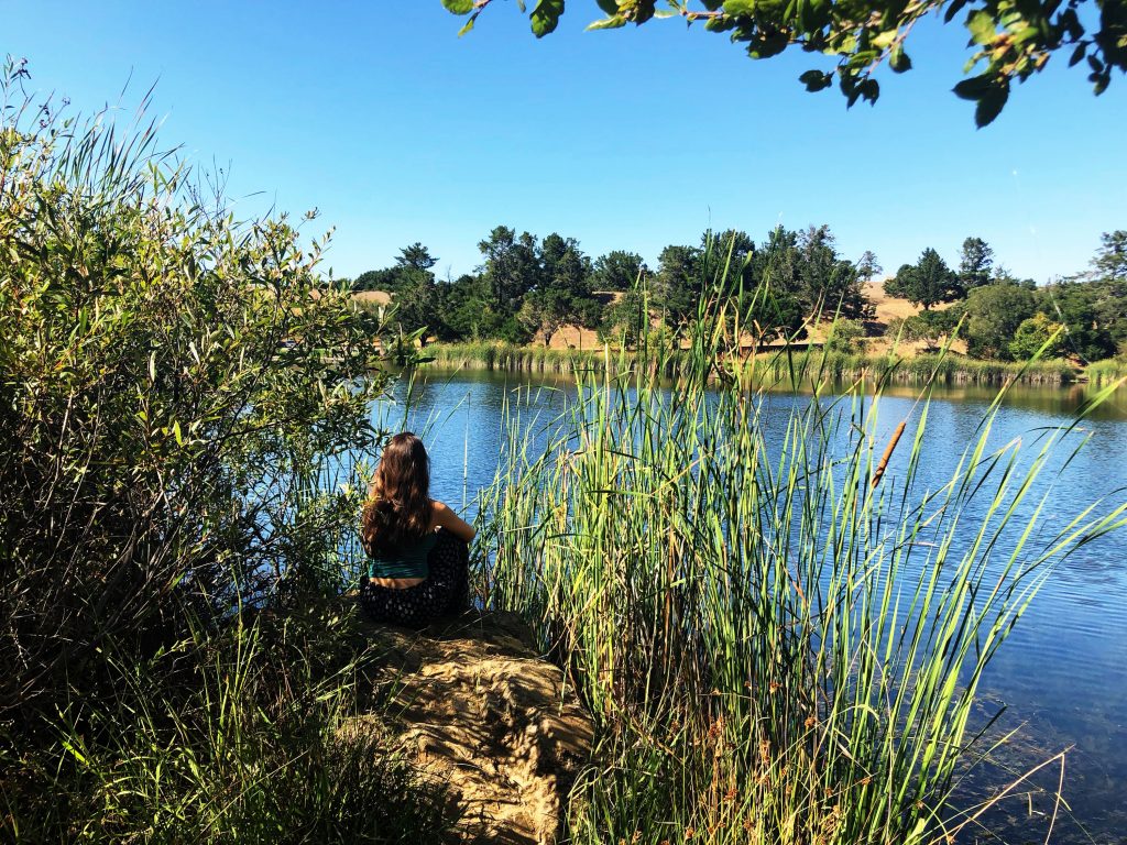Image shows a girl on a rock looking out onto a pond with leaves surrounding her.
