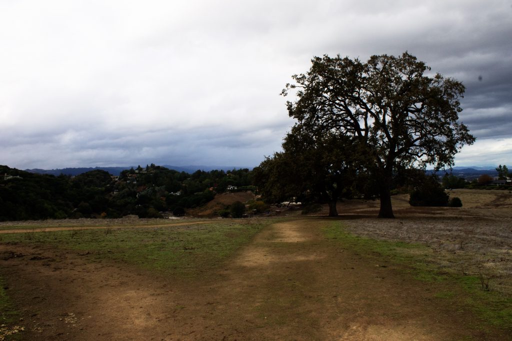 Westwind open space preserve
