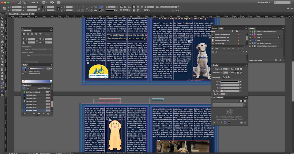  image of InDesign interface