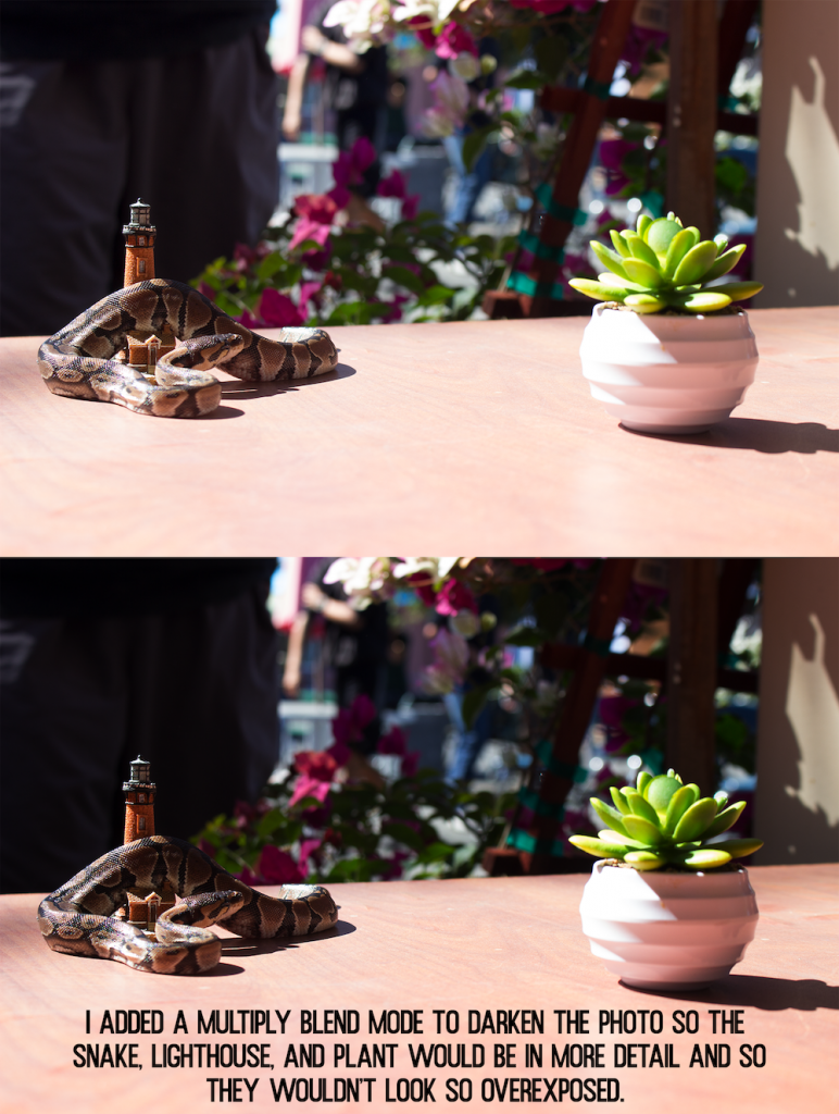multiply blend mode photo of a snake, lighthouse toy, and succulent plant