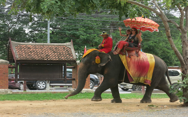 Elephant ride: Highly do not recommend