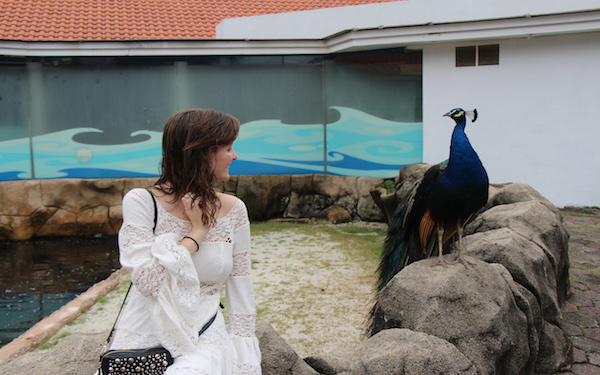 With peacock at S.E.A. Aquarium