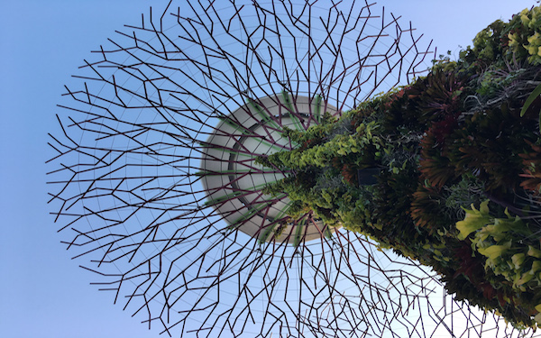 Singapore's solar-powered supertree
