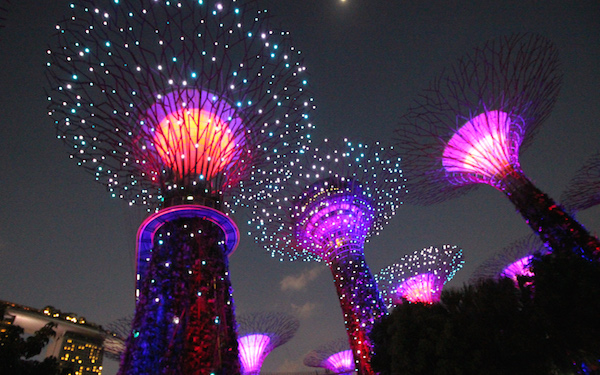 Supertrees at night