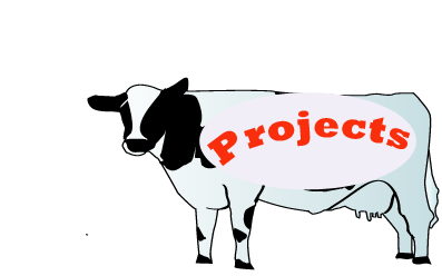 projects Page