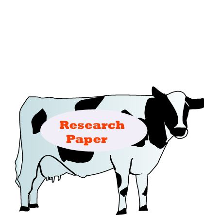 Research Paper
