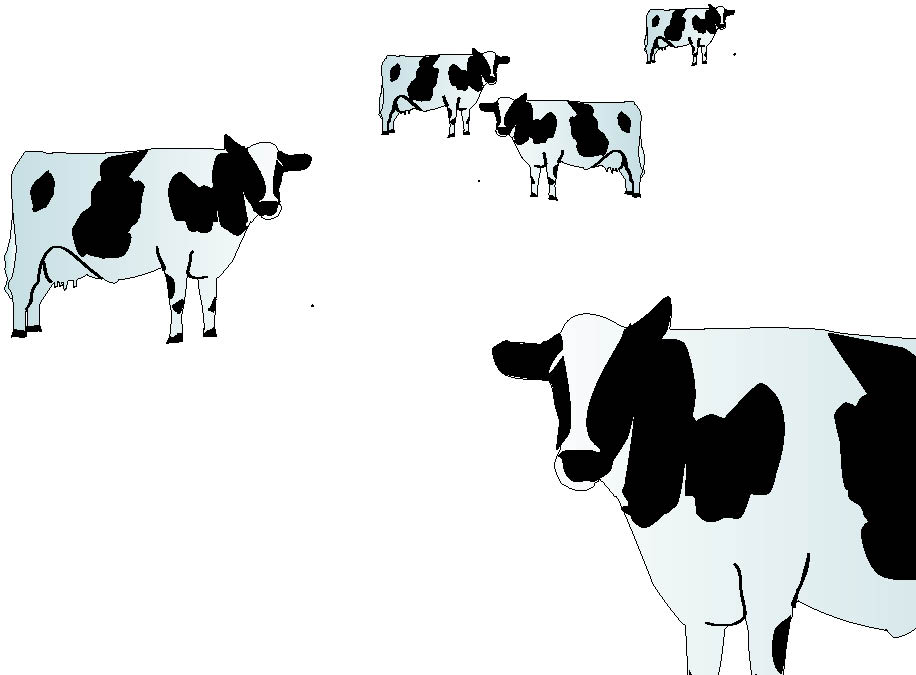 cowpage.jpg