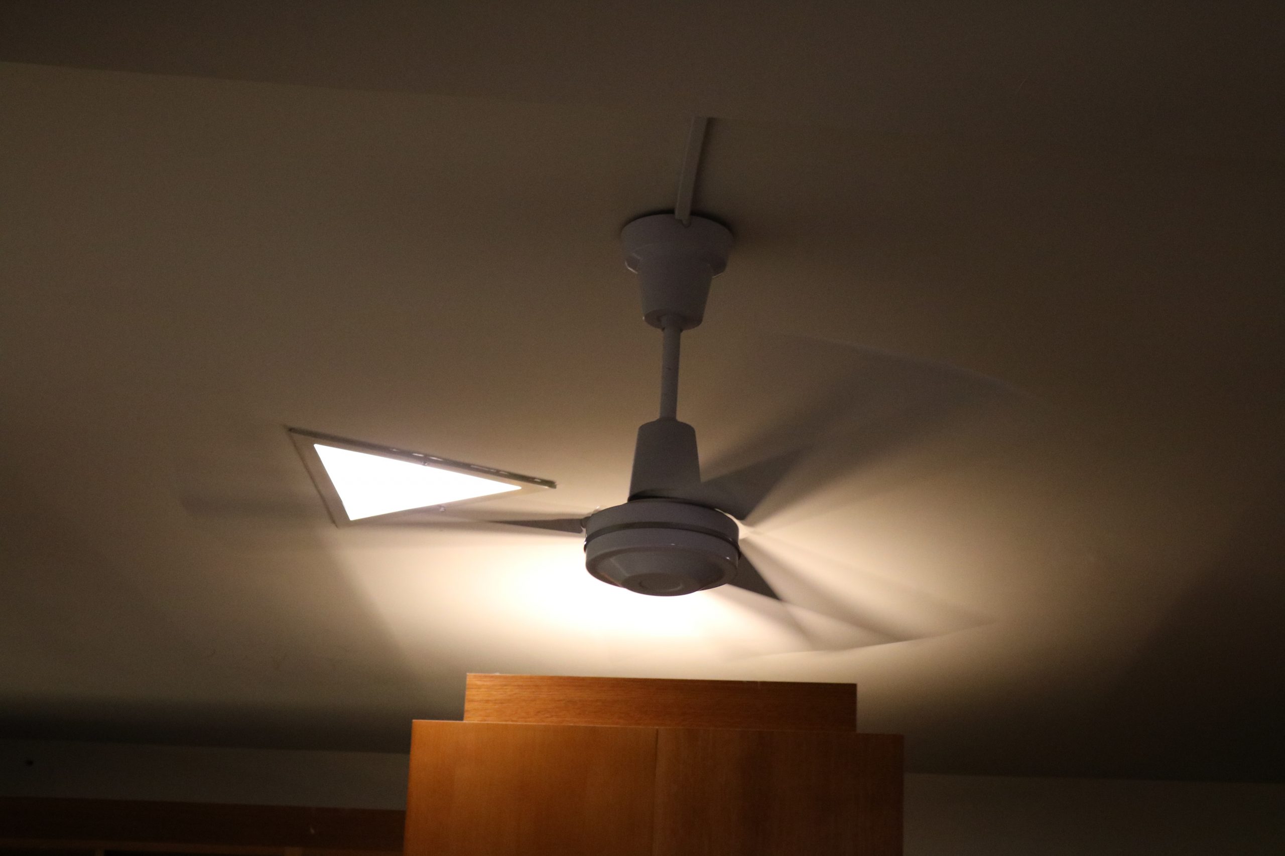 Picture of a fan