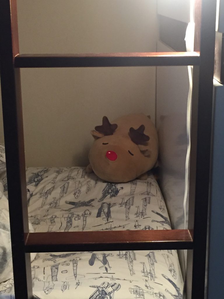 a stuffed animal