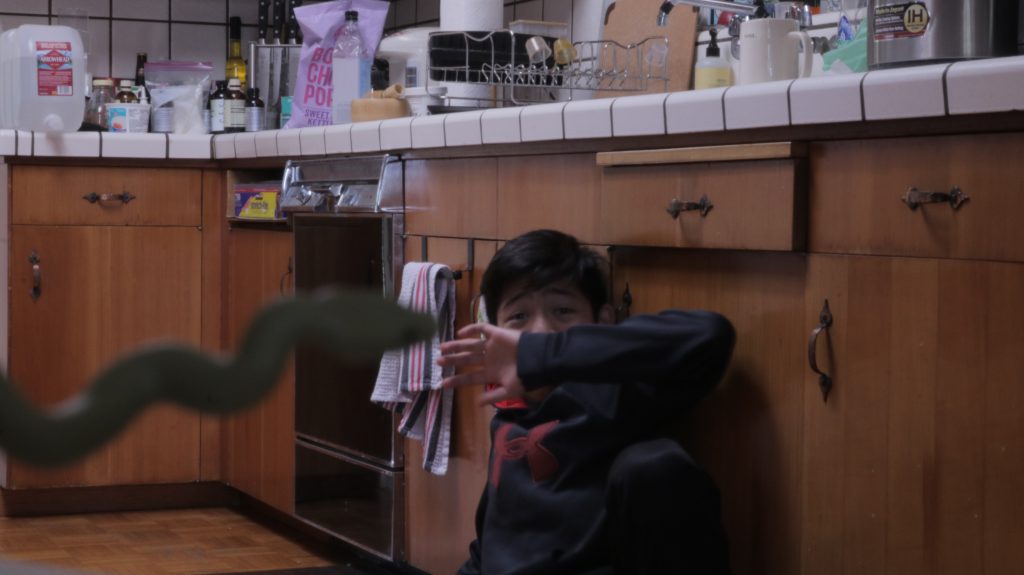 snake attac