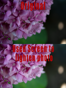 used screen to lighten photo