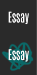 Essay