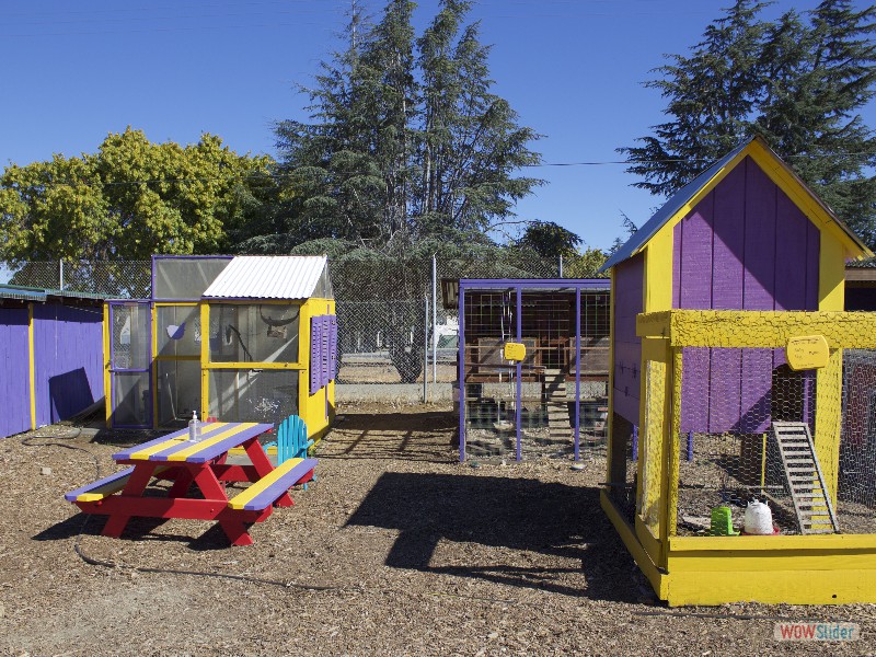 Animal Assisted Happiness Aviary