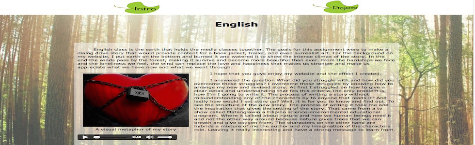 picture of my narrative 2 website