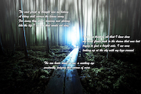 The vast forest of thought sees me hiding
A biting chill carries the leaves away
Far away they float, dancing and gliding
Like the life I dreamt that would not stay
I sit and think of all that I have done
My mind floats back to the dream that was lost
Trying to find a bright side, I see none
Looking up at the sky with my legs crossed
The sun beats down on me, a mocking eye
Constantly judging this sorrow of mine