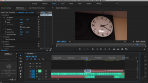 This is a photo of the Adobe Premiere interface I used to create the video.