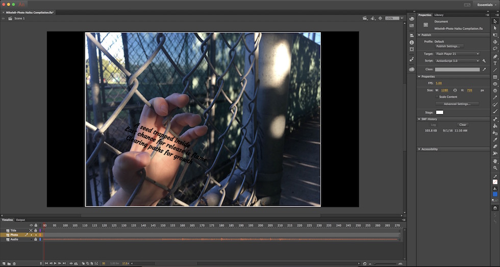 Photo of Animate File