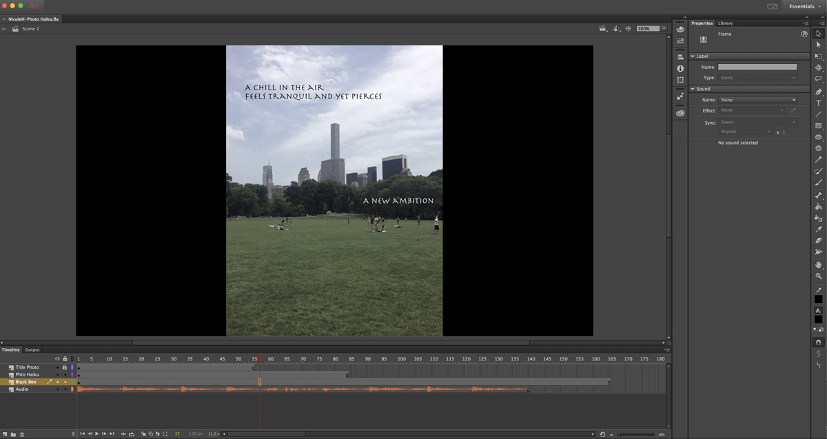 screenshot of Animate file used to produe Haiku Video