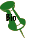 Bio