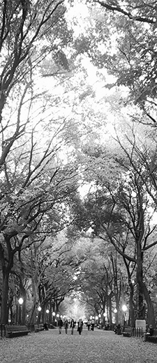 centralpark