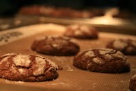 images/album2/5.jpg