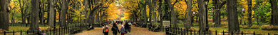 narrative 1 header