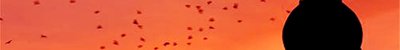 narrative 2 header