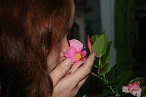 Smelling a flower