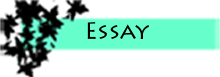 Viewing Essay