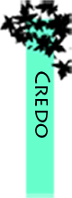 Viewing Credo