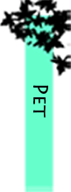 Viewing pet