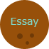 Essay