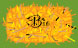 Bio