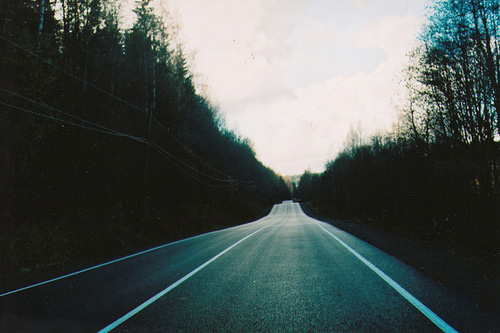 A road with forest trees on the side.