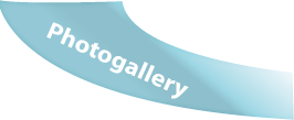 photogallery button