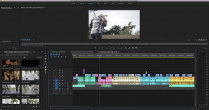 A screenshot of a premier editing window that shows the documentary Revelation.