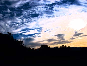 IMG_1133