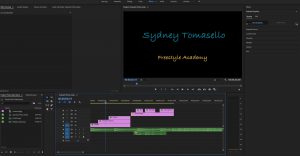 A photo of the Premiere Pro with what I did to edit the Video.