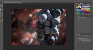 The editing process of my macro photograph in Photoshop. 