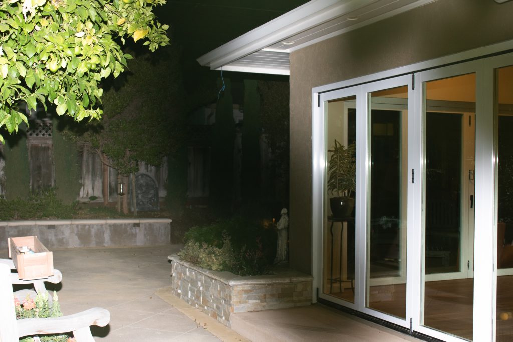 The image depicts a yard at night lit up with a flash, but large, leaf-shaped shadows darken certain parts of the image. 