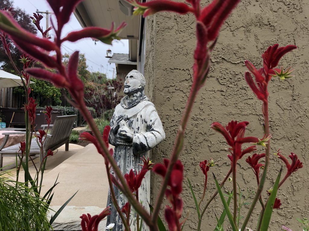 The image shows a small statue of St. Francis between some red flowers. 