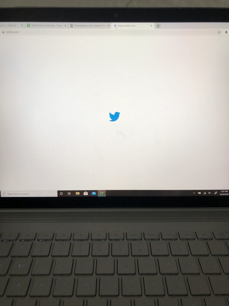 The photo shows a computer screen with the twitter logo on it. 