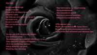 Photo of free verse poem 