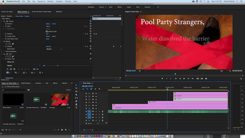 This is a screenshot of Premiere Pro which I used to produce the haiku video.