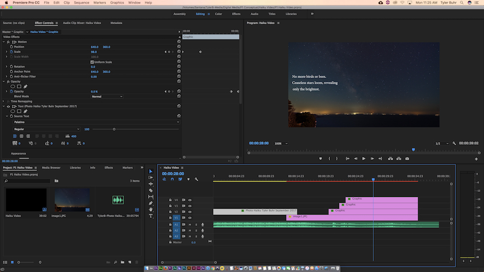 This is a screenshot of my Haiku video production in Premiere Pro.