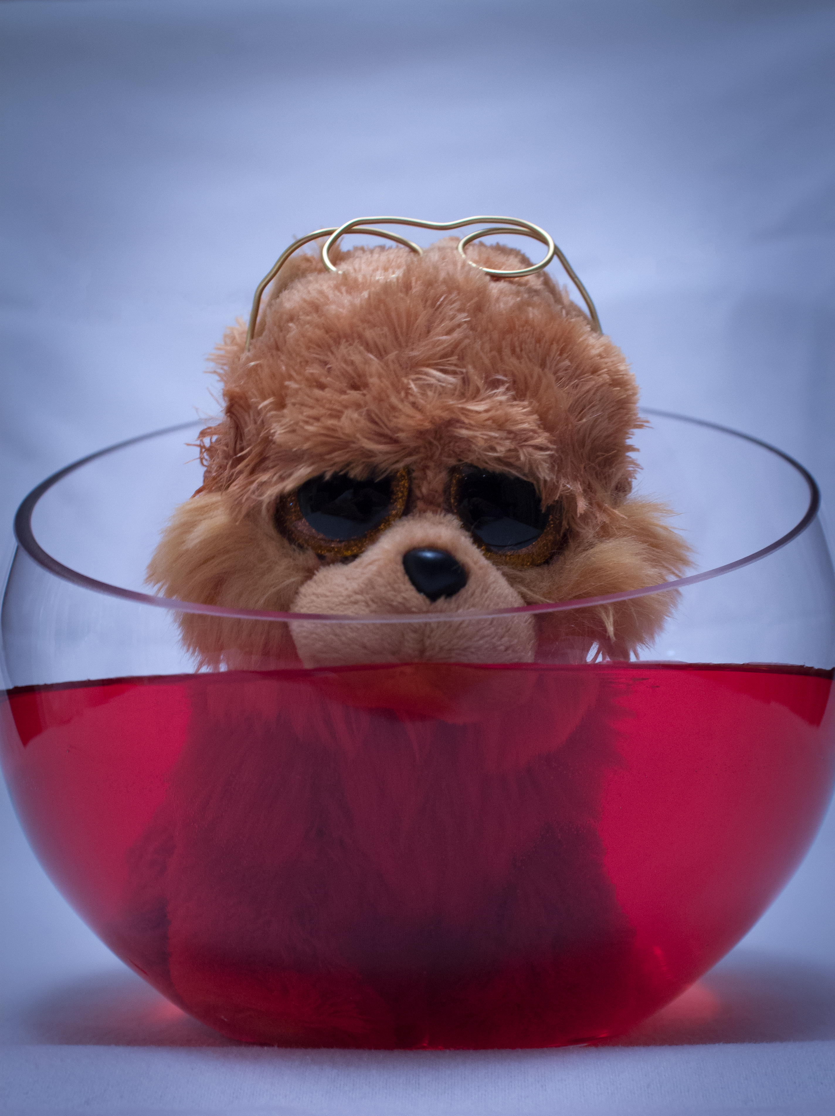 This is my Conceptual Art Production.  It is a photo of a toy puppy that is bathing in a bowl of red water.