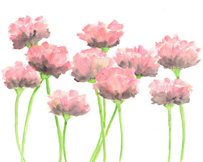 Pink Flower
